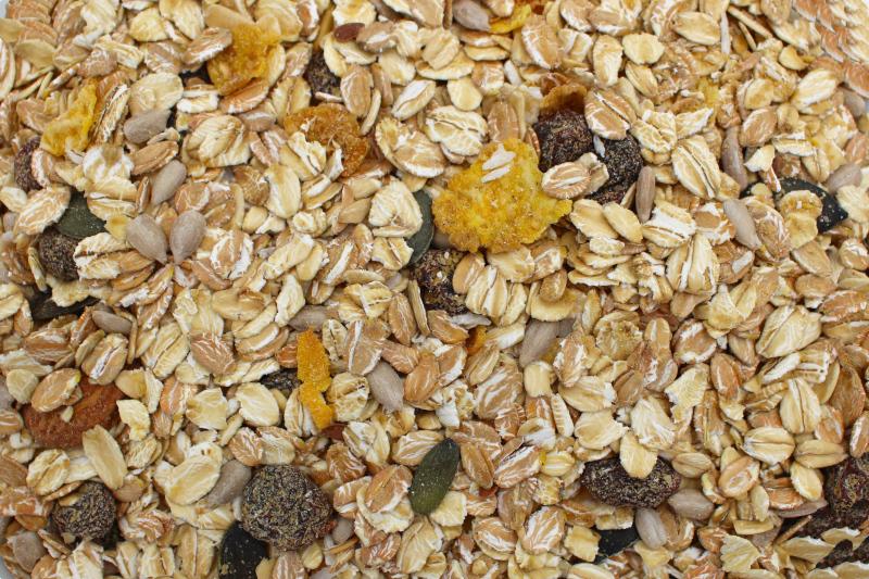 Müsli Vital Økologisk 12,5kg