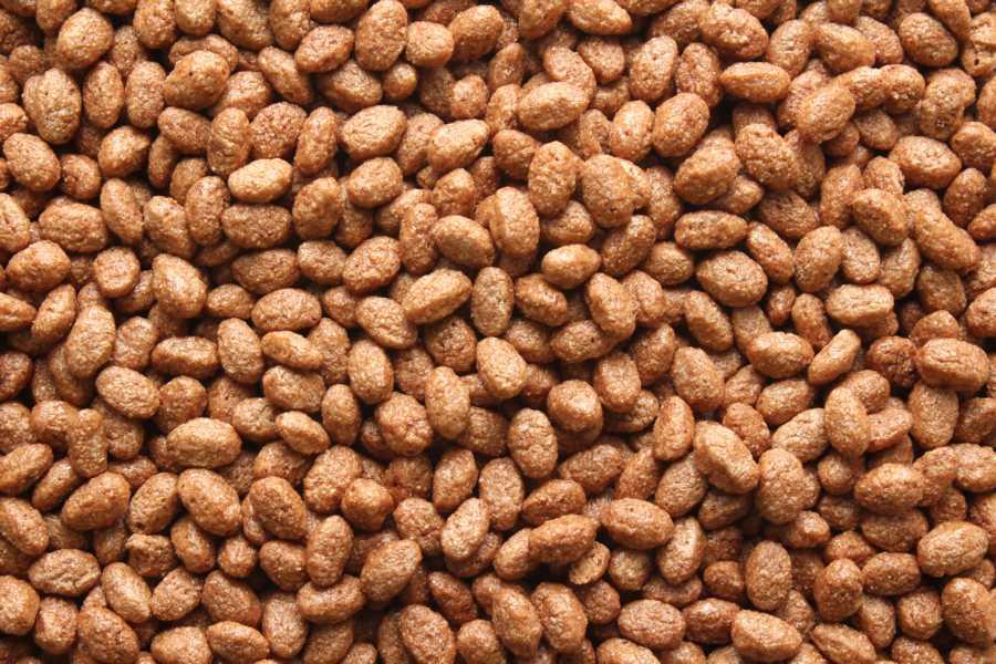 Økologisk chokoladekrisper 10kg