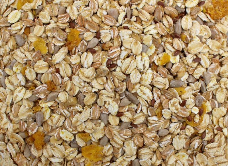 Müsli uden rosiner økologisk 25kg