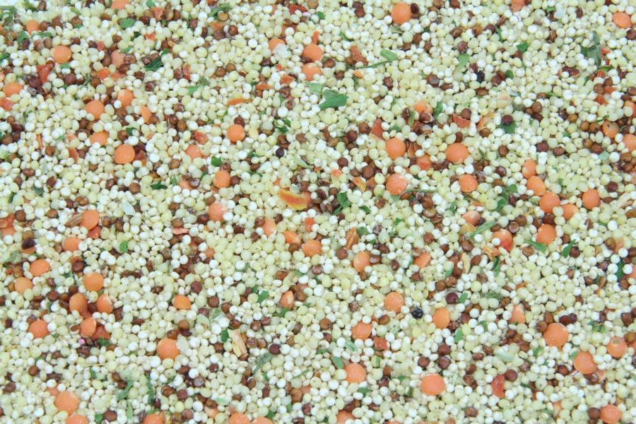 Quinestrone Karotte/Lauch Økologisk 5kg