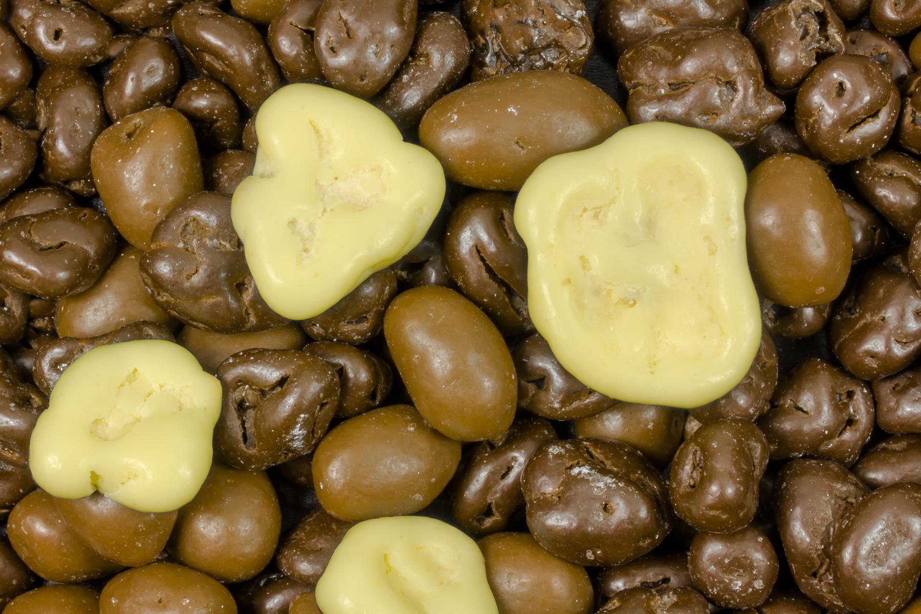 Økologisk blanding af nødder og tørrede frugter overtrukket med chokolade 5kg