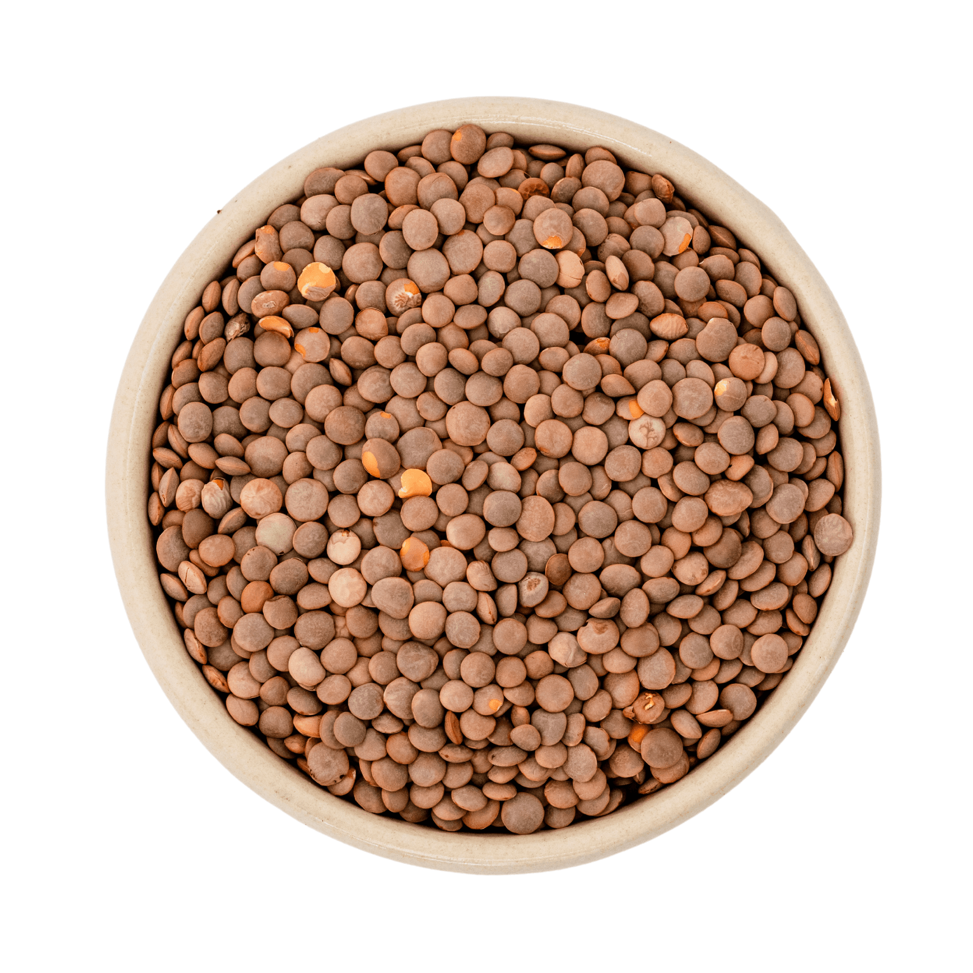 Økologisk brune bjerglinser (Gourmet) 25kg