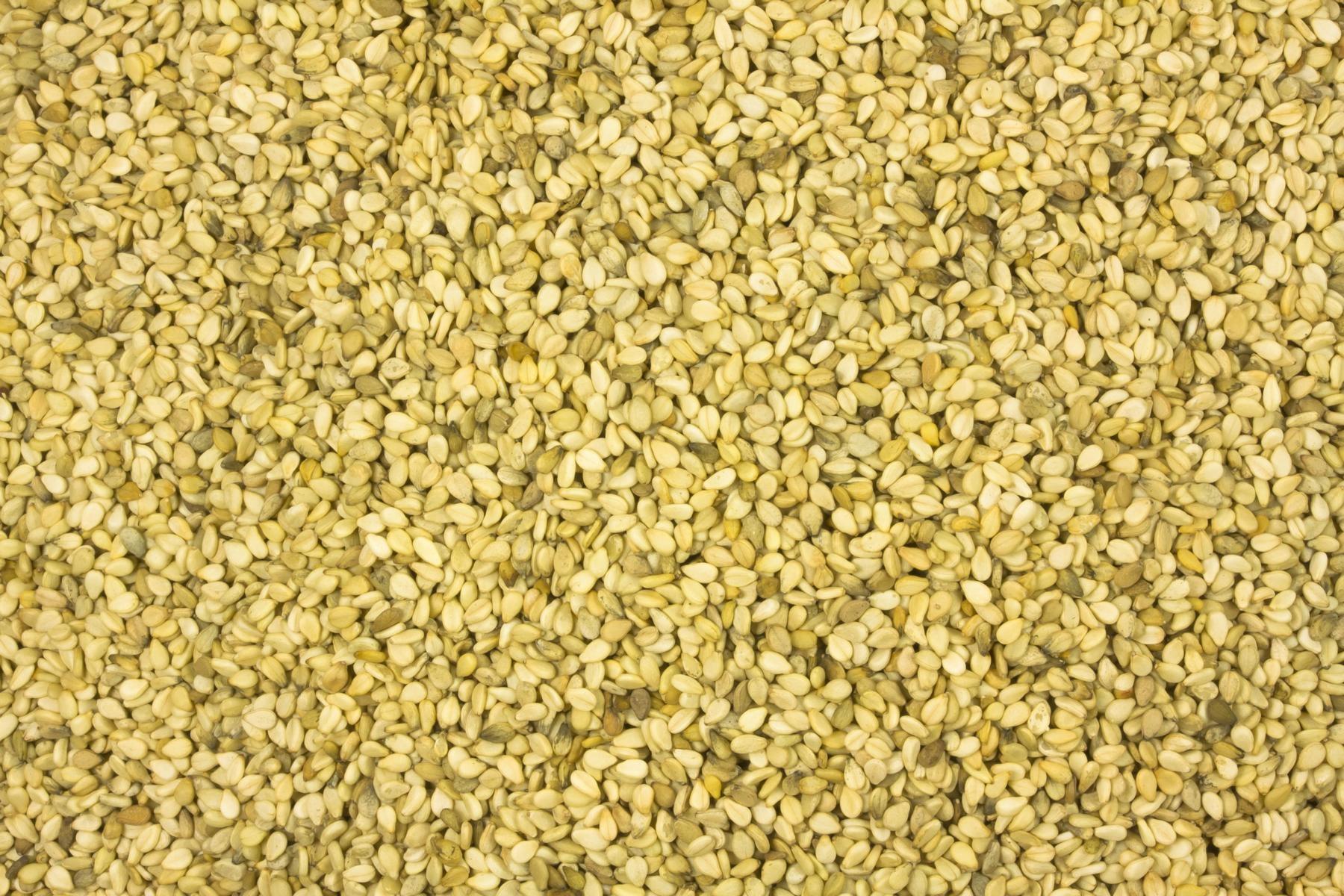 Økologisk sesamfrø uhællede 2x2,5kg