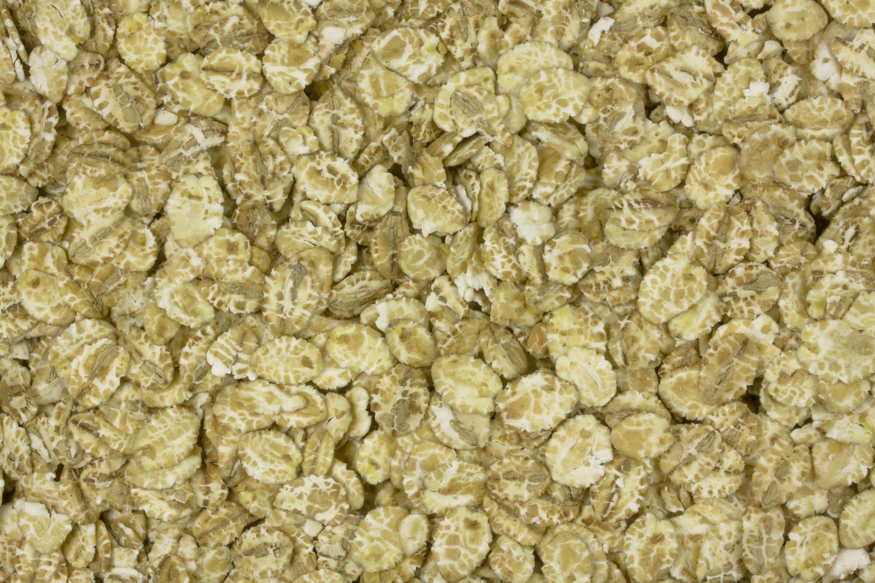 Økologiske byggeflager 25kg